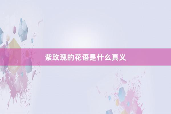 紫玫瑰的花语是什么真义