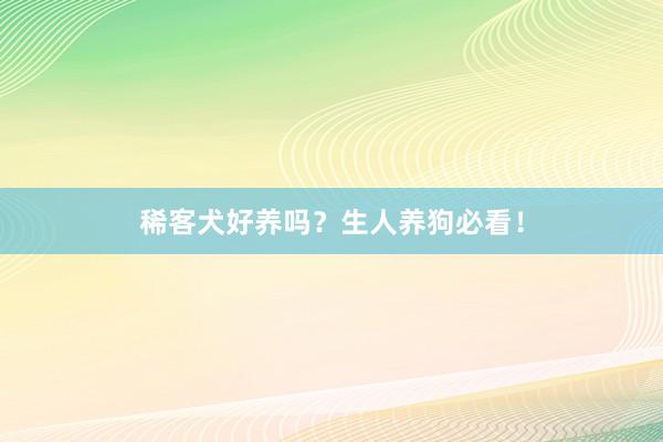 稀客犬好养吗？生人养狗必看！